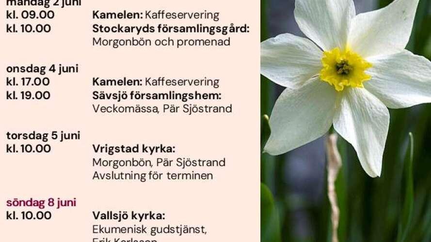 beskrivande bild