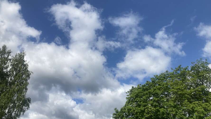 beskrivande bild