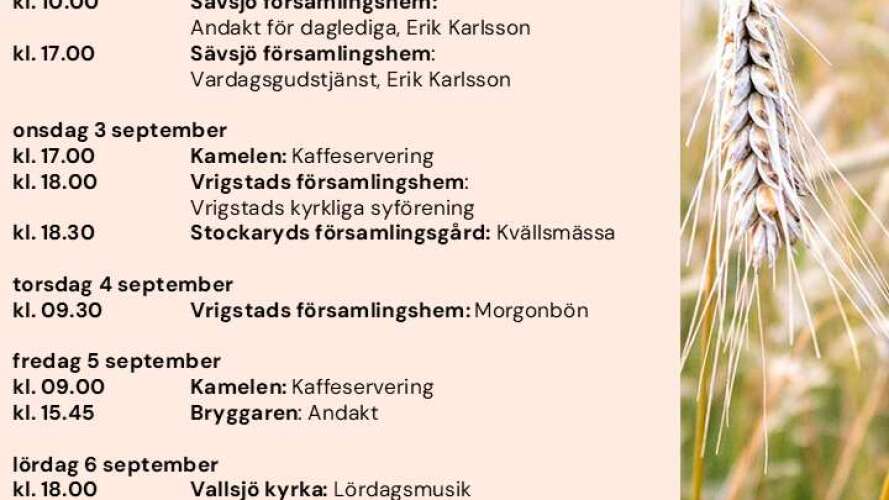 beskrivande bild