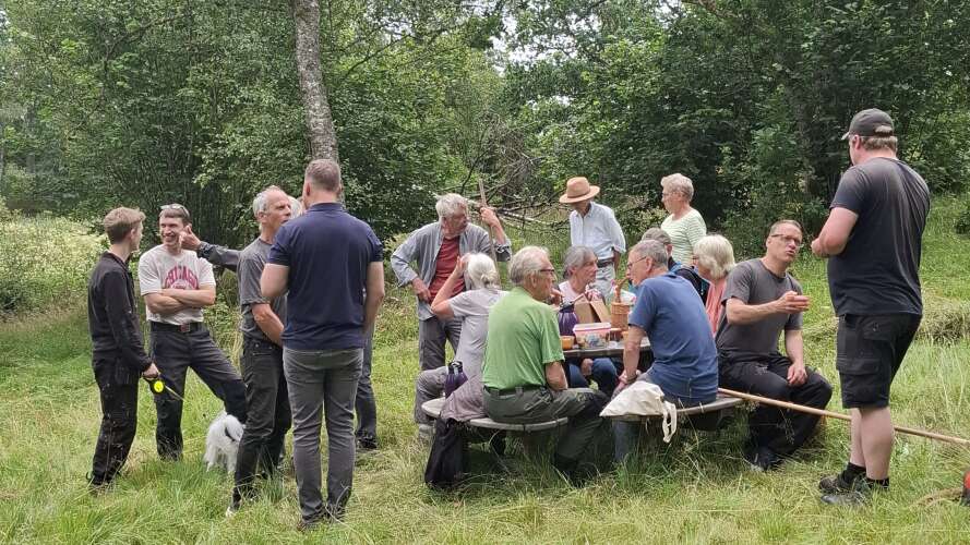 beskrivande bild