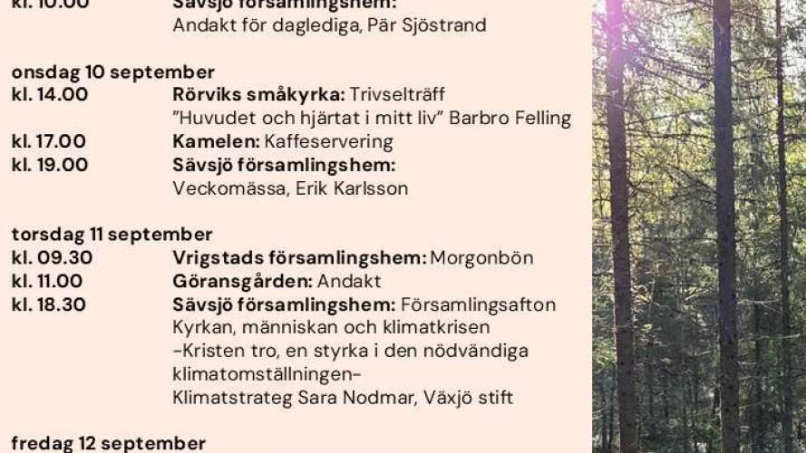 beskrivande bild