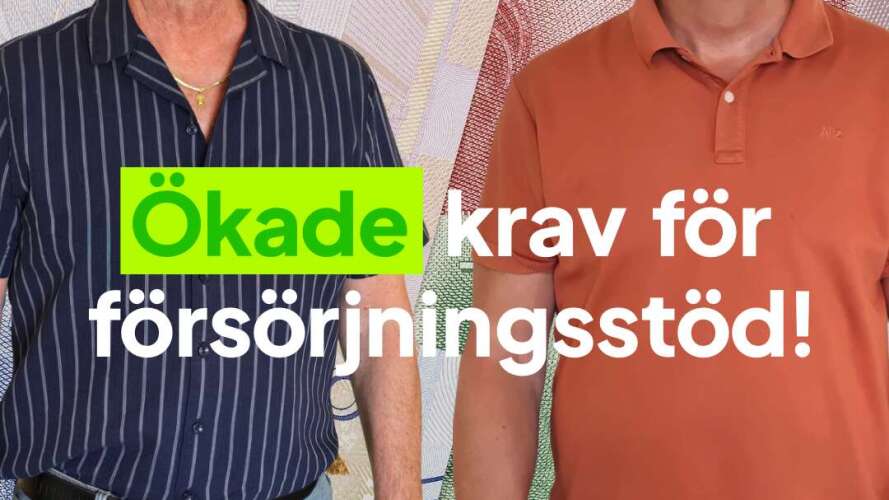 beskrivande bild