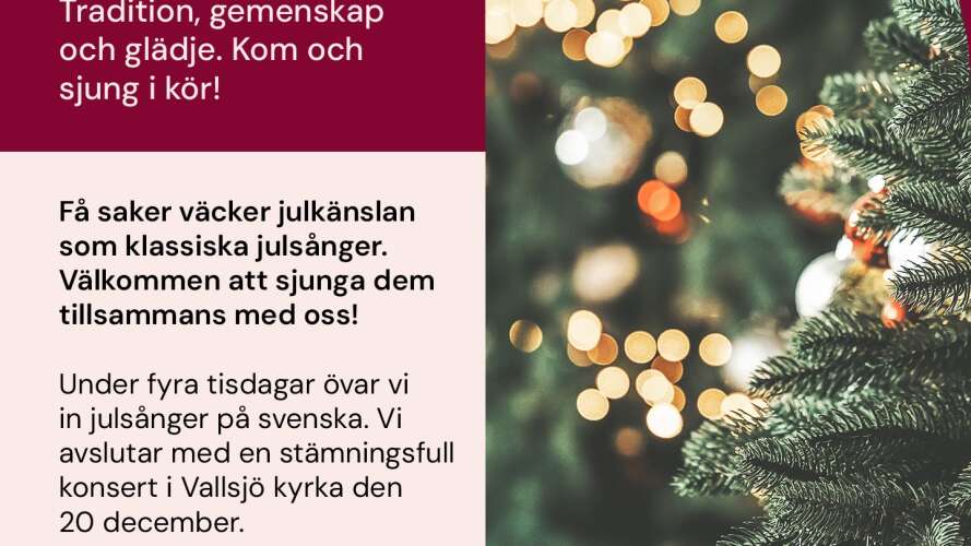 beskrivande bild
