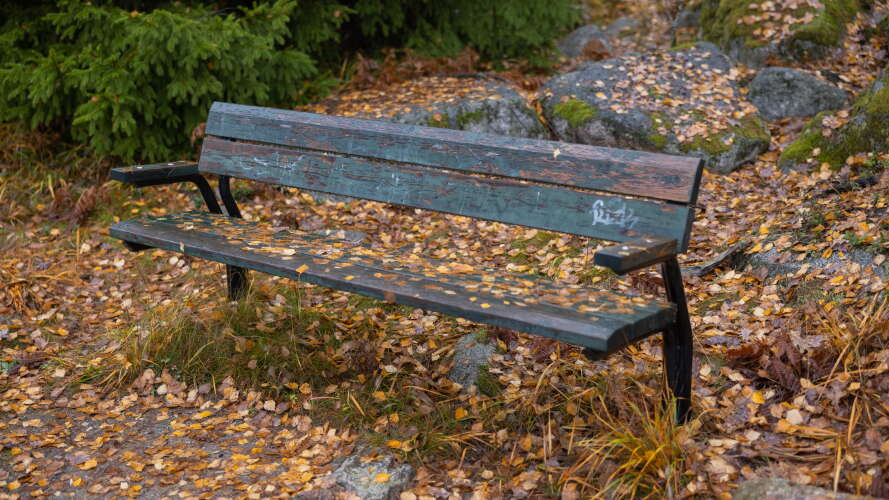 beskrivande bild