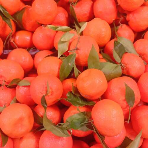 Bilder som hör till