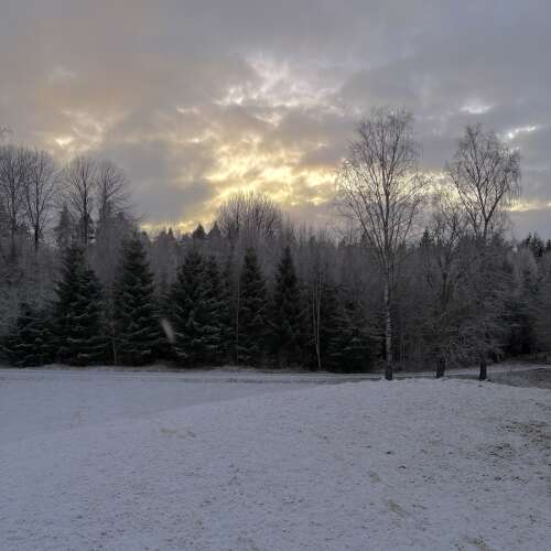 En bild för internannons