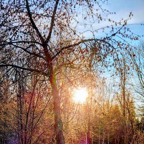 En bild för internannons