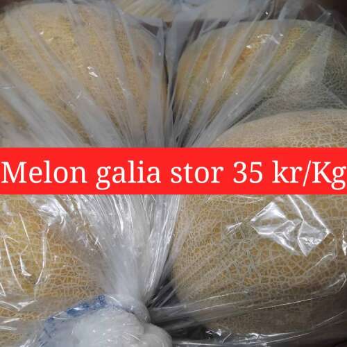 Slide 23