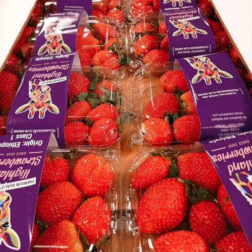 Bilder som hör till