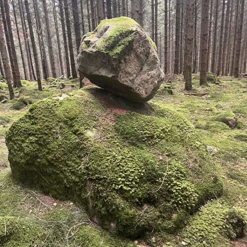 En bild för internannons