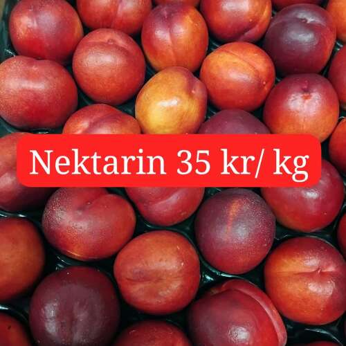 Slide 15