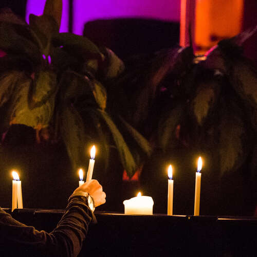 Bilder som hör till