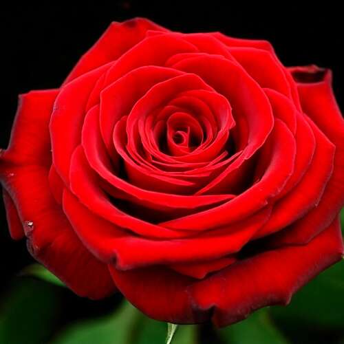 Bilder som hör till