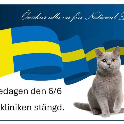 Bilder som hör till