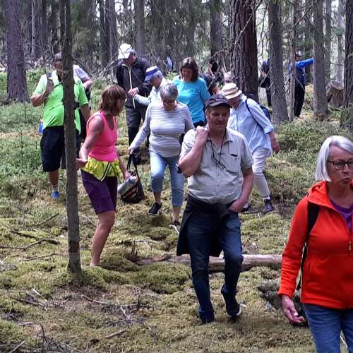 Bilder som hör till