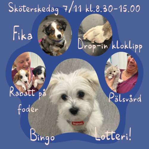 Bilder som hör till