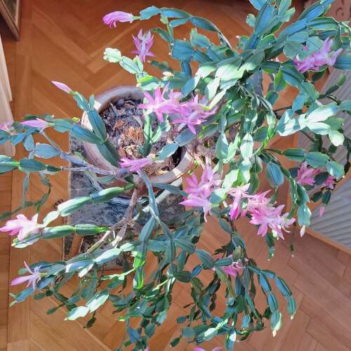 En bild för internannons