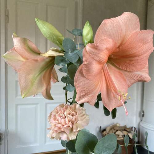 En bild för internannons