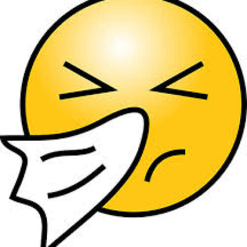 Bilder som hör till