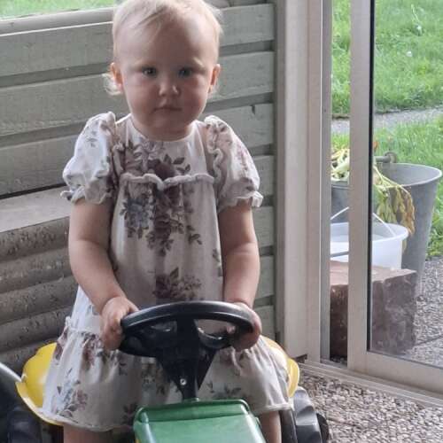 En bild för internannons