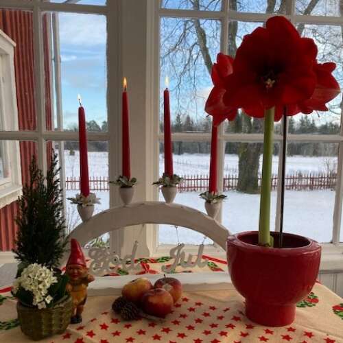 Bilder som hör till