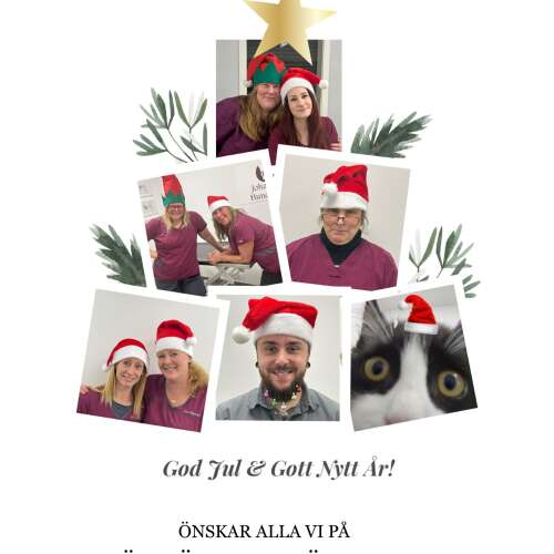 Bilder som hör till