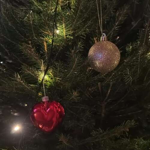 Bilder som hör till