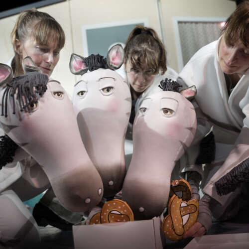 Bilder som hör till