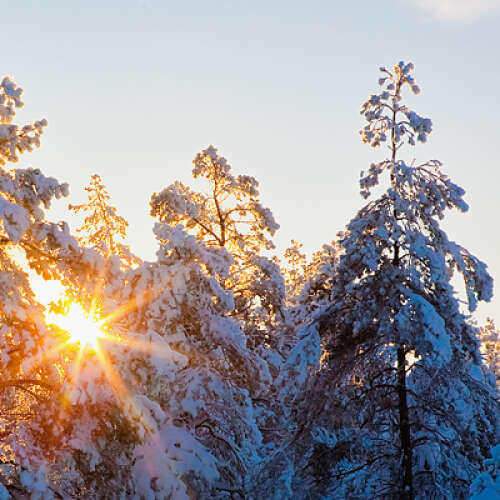 Bilder som hör till