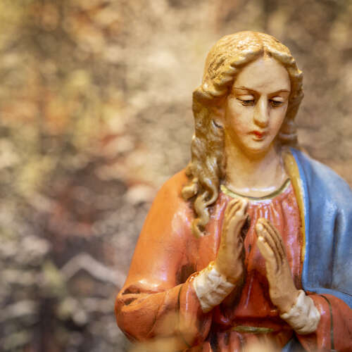 Bilder som hör till