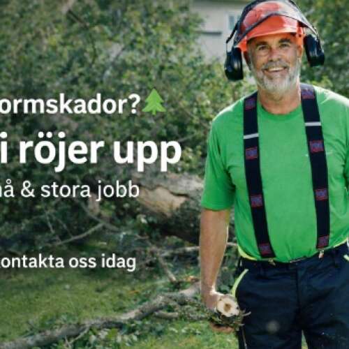 En bild som placeholder