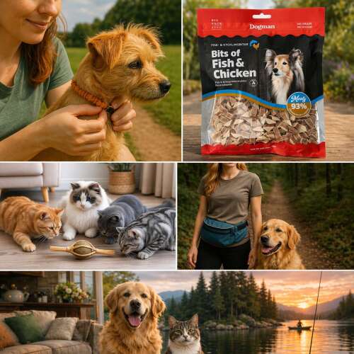 Bilder som hör till