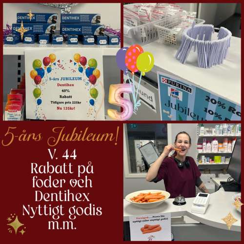 Sista jubileumsveckan