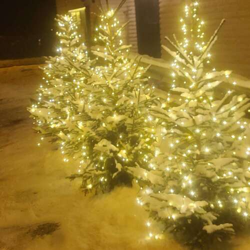 Bilder som hör till