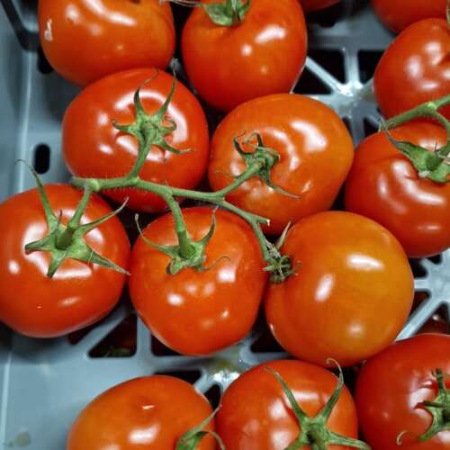 Bilder som hör till