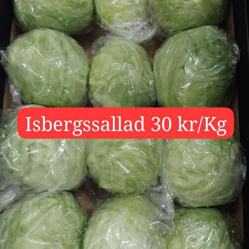 Slide 14
