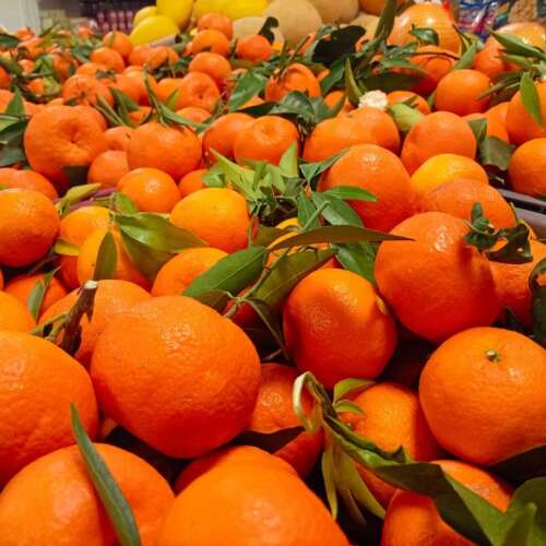 Bilder som hör till