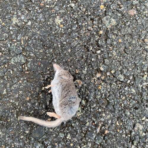 En bild för internannons