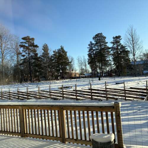 En bild för internannons