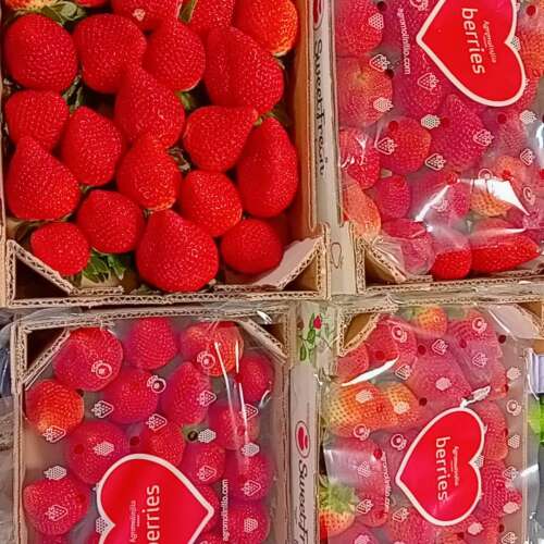 Bilder som hör till