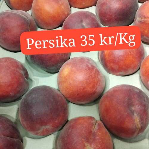Slide 20