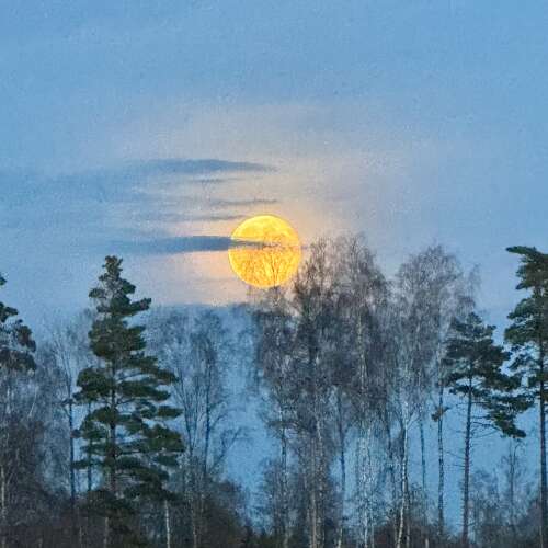 En bild för internannons