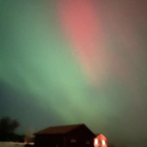 En bild för internannons