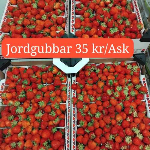 Slide 26
