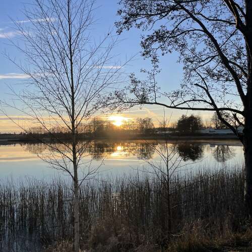 En bild för internannons