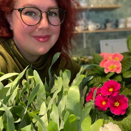 Bilder som hör till